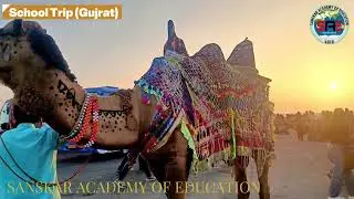 Educational Trip Gujarat | Sanskar Academy of Education Rehti