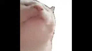 センズリ