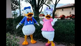 Donald and Daisy Duck Character Sighting at Disney's Hollywood Studios