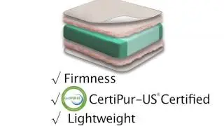 Sealy Soybean Natural Rest Foam Crib Mattress