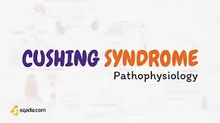 Cushing Syndrome Pathophysiology V-Learning&trade; | Endocrinology