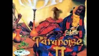Paranoise - A Call To The Enlightened Ones  Habiba Jaahratini