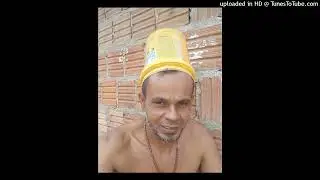 Pássaro noturno