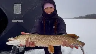 Впервые охотилась на щуку на раннем льду в Альберте.