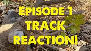 TRACK REACTION! Episode 1 - BIG OLD BUCK DOWN! #bowhunting #archery #deer