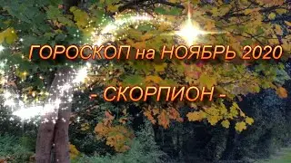 ♏СКОРПИОН -  ГОРОСКОП на НОЯБРЬ 2020