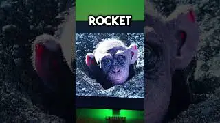 ВЫ ПРОПУСТИЛИ ЭТО В ФИЛЬМЕ &laquo;ВОЙНА ЗА ПЛАНЕТУ ОБЕЗЬЯН&raquo;!