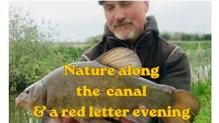 Nature along the canal,  Followed by a red letter evenings tench fishing!