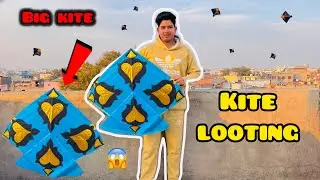 Kite looting catching big kite kitelover aaj bahut saari patang looti 😍🪁