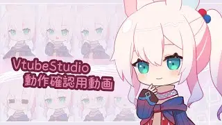 【完売】Viscacha VTS動作確認
