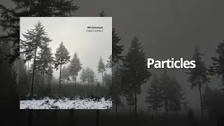 Folkert Hofstra - Particles
