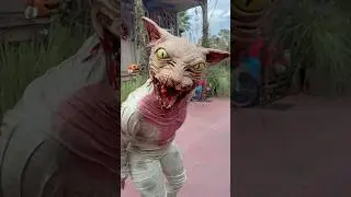 Cat Lady of Crooked Lane SCARE ZONE at Halloween Horror Nights | #HHN34