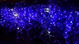 Flash led flicking Icicle light,curtain lighting,illumination lighting,LED Twinkle light