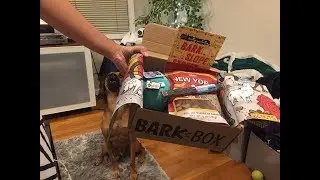 BarkBox Unboxing & Review - September 2018 for Medium Dogs