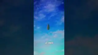 Incredible Video of a Seed Growing Inside an Ear!