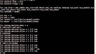 Linux Container (lxc) demonstration