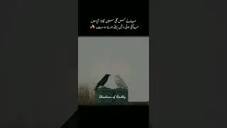 جاگتی راتیں  #shadowsofreality
