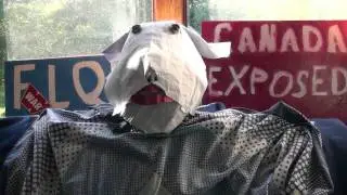 FLQ   CARRIES  THE FIGHT  AGAINST  THE ENGLISH  TO THE REST OF CANADA