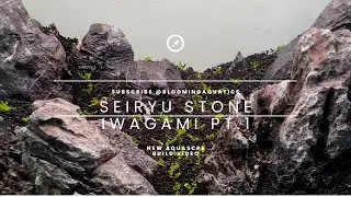 Iwagami Aquascape with Seiryu-type Stone: Serenity Captured