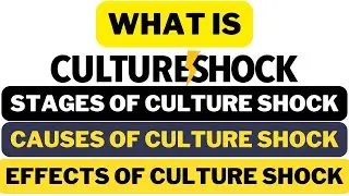 What is Culture Shock?