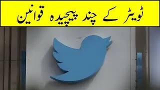 the Black side of Twitter and its Disadvantages - Pakistan light