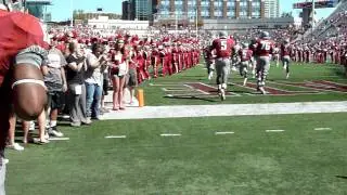Run out of the Martin Stadium Tunnel with the Cougars!