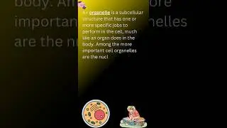 Organelles and their functions #organelles #functions #biology #definition #youtubeshorts #science