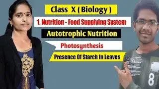 Nutrition 01  | Food Supplying System | Photosynthesis | Presence Of Starch In Leaves | Pushpalatha