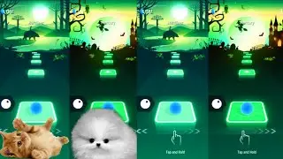 Tiles hop EDM Rush   Cute cat vs Fluffy dog on Ball Games channel