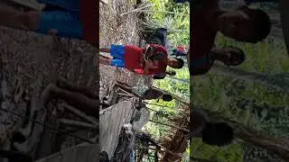 Raja Molo