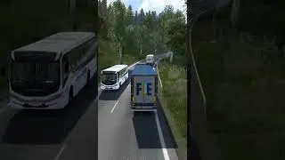 ETS2 Extreme Weather Driving #eurotrucksimulator2 #est2 #truckdriver #sp Gaming