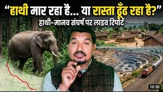 हाथी मार रहा है… या रास्ता ढूँढ रहा है?