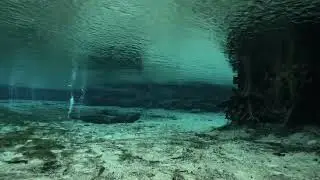 Ginnie Spring Florida Cave Diving 2023
