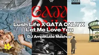 Lush Life X Gata Only X Let Me Love You [DJ Amplitude Mashup]