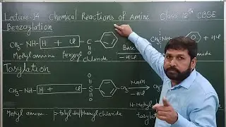 L -14 || BENZOYLATION || TOSYLATION || Chemical properties of amines ||For JEE Mains|NEET|CLASS 12th