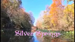 Kayaking Silver Springs State Park