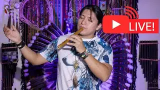 Live Flute Instrumental Music