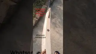 7t7t Gold Edition | 7070 Sports | Best Hard Tennis Bat | Semi Upper Blade | Nur Sports