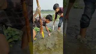Tata Fishing Video ❤️ Big Catfish Catching With Tata From Mud Water.