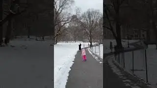 Снег в NY оказыватся редкость!☃️#nyc #centralpark #dog #kids #snow