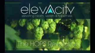 Elevacity Hops Revolution
