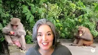 Human Connection Challenge | Day 1: Compliment a Stranger!