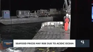 Consumer headlines: Seafood prices may rise due to acidic ocean