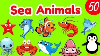 Sea Animals | Ocean Animals Vocabulary | Kids Vocabulary | English Educational video