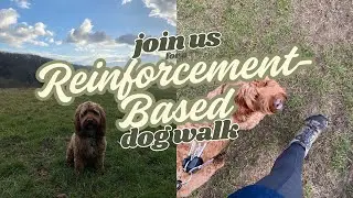 Real Time Walk with R+ Dog Trainer