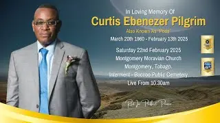 Curtis 
