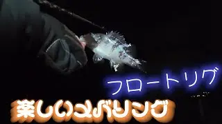 連夜のフロートメバリング。