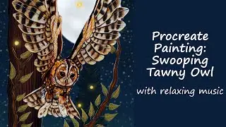 Swooping Tawny owl // Wildlife Art // Digital Art // Timelapse //Procreate // Relaxing Music