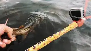 A Fully Custom Designed by you Action Camera Fishing Net | Catch Cam Nets.