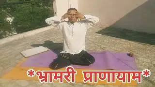 भ्रामरी प्राणायाम करने से आपको लाभ#trending #weightloss #yoga #explore #